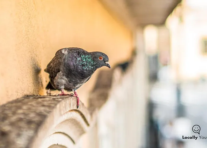 Διαμέρισμα Locally Yours Sao Bento
